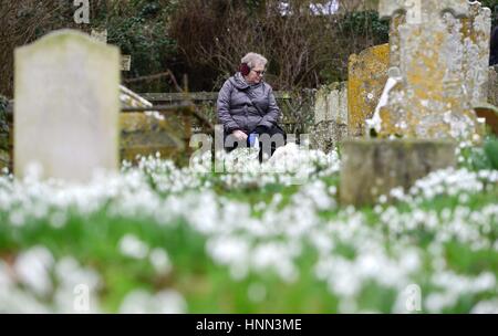 Southease, East Sussex 15 février 2017. Un tapis de perce-neige blanc brillant en Église cimetière Southease égayer une journée terne couvert dans le Sussex. Crédit : Peter Cripps/Alamy Live News Banque D'Images