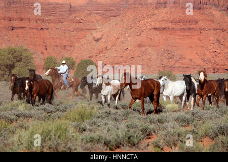 Cowboy Navajo, Mustang, (Equus caballus), Monument Valley, Utah, USA, Amérique du Nord, Cowboy et Mustang Banque D'Images