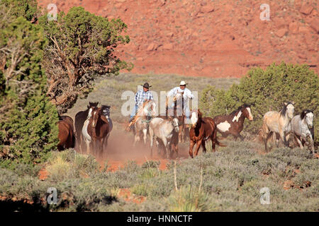 Cowboy Navajo, Mustang, (Equus caballus), Monument Valley, Utah, USA, Amérique du Nord, Cowboy et Mustang Banque D'Images