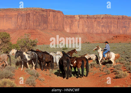 Cowboy Navajo, Mustang, (Equus caballus), Monument Valley, Utah, USA, Amérique du Nord, Cowboy et Mustang Banque D'Images