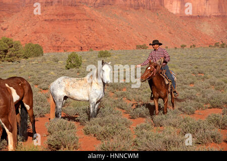 Cowboy Navajo, Mustang, (Equus caballus), Monument Valley, Utah, USA, Amérique du Nord, Cowboy et Mustang Banque D'Images