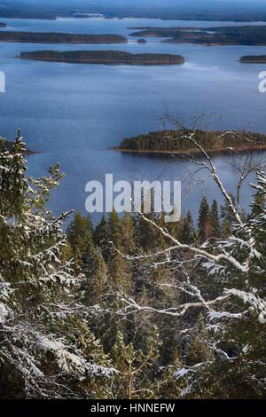 Décor de Koli (Kolin kansallispuisto) en Finlande, Carélie du Nord : le lac Pielinen en Koli (Kolin kansallispuisto) Banque D'Images