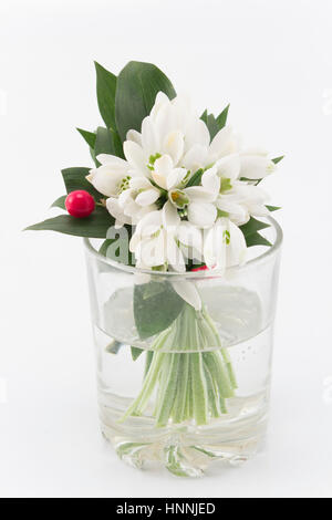 Bouquet de perce-neige fraîche dans un verre d'eau. Banque D'Images