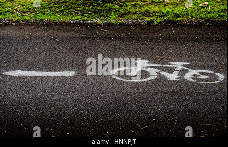 La couleur blanche Symbole de la position à vélo la gauche sur route asphaltée avec tampon de l'herbe dans un parc public Banque D'Images