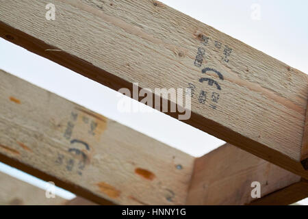 Ligne de toiture en bois estampillés ce bois de chevrons dans la construction d'extension au Royaume-Uni Banque D'Images