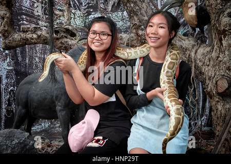 Personnes qui interagissent avec la faune. Deux filles thaïlandaises qui gèrent un grand serpent Python dans un zoo local. Thaïlande Asie du Sud-est Banque D'Images