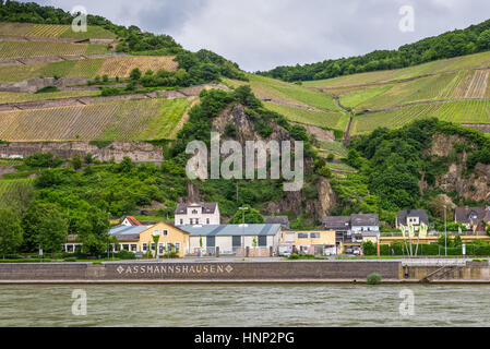 Assmannshausen, Allemagne - le 23 mai 2016 : vignobles, dans le village de Assmannshausen sur le Rhin par temps nuageux, Hesse, Allemagne. Banque D'Images