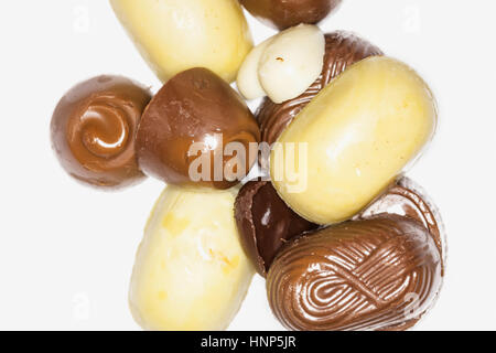 Assortiment de chocolats noir et au lait, fond blanc, Banque D'Images