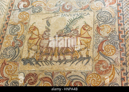 Merida, Badajoz Province, Estrémadure, Espagne. Mosaïques illustrant de char roulant quatre chevaux. Museo Nacional de Arte Romano. Musée national de Rom Banque D'Images