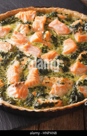 Quiche au saumon salé en bonne santé et les épinards dans le plat de cuisson macro. La verticale Banque D'Images
