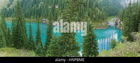 Dans le lac Kaindy Tien Shan mountain, Kazakhstan Banque D'Images