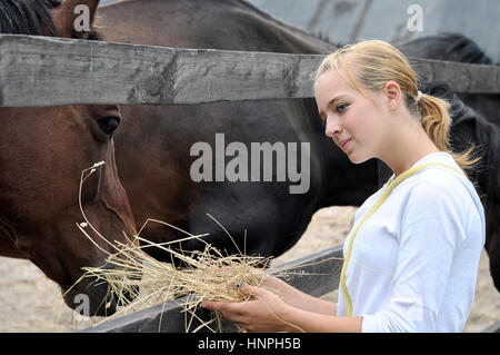 Adolescente rss cheval dans la ferme Banque D'Images