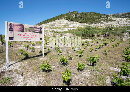 Curlin winery signe et vigne, raisin Plavac, Peljesac, Dalmatie, Croatie Banque D'Images