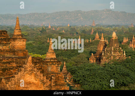 Tempel und Pagoden in der Ebene von Bagan, Myanmar, Asien | Plaines Bagan temples et pagodes, Bagan, Myanmar, en Asie Banque D'Images