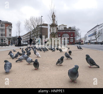 Londres Mornington Crescent avec les pigeons Banque D'Images