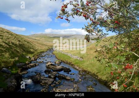 River Twiss, Yorkshire Dales Banque D'Images