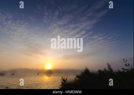 Paysage dans la Goldenstedter Moor, Basse-Saxe, Allemagne Banque D'Images