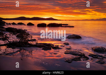 Lever du soleil à Aylard Farm beach-parc East Sooke, Colombie-Britannique, Canada. Banque D'Images