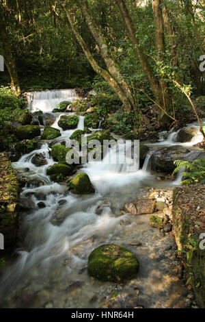 Belle cascade dans le parc national de Shivapuri Nagarjun, Katmandou, Népal Banque D'Images