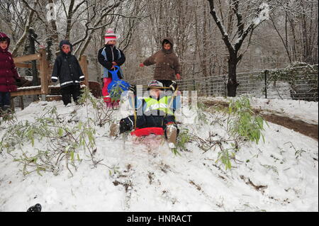 Berlin, Allemagne - le 29 novembre 2010 - Les enfants qui n'ont d'aller à l'école en raison de vague de froid et chutes de neige massives luge et jouent dans la neige Banque D'Images