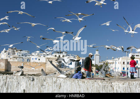 Stock Photo - Mouettes cercle les pêcheurs sur le quai par la Skala de la Ville à Essaouira au Maroc, l'Afrique du Nord Banque D'Images