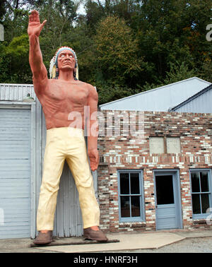 Puncheon Camp Creek Cattle Ranch à Edneyville, Caroline du Nord, offre un charme rustique, des pâturages vallonnés et un vrai goût de la vie agricole des montagnes du Sud. Banque D'Images