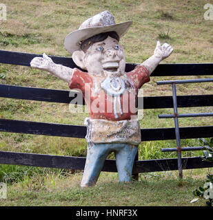 Puncheon Camp Creek Cattle Ranch à Edneyville, Caroline du Nord, offre un charme rustique, des pâturages vallonnés et un vrai goût de la vie agricole des montagnes du Sud. Banque D'Images