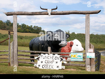 Puncheon Camp Creek Cattle Ranch à Edneyville, Caroline du Nord, offre un charme rustique, des pâturages vallonnés et un vrai goût de la vie agricole des montagnes du Sud. Banque D'Images