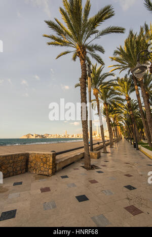 Promenade en bord de mer sous le soleil de Benidorm, Alicante, Espagne. Tourist Holiday Resort destination. Banque D'Images