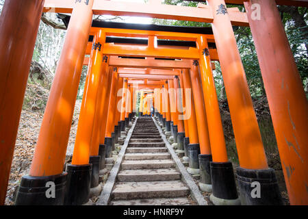 Sanctuaire Fushimi Inari (伏見稲荷大社 Fushimi Inari Taisha), est un important sanctuaire Shinto dans le sud de Kyoto. Banque D'Images