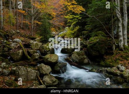 Coloful comme par magie de l'automne dans une vieille forêt sauvage parc avec une cascade d'eau pure de la montagne. Banque D'Images