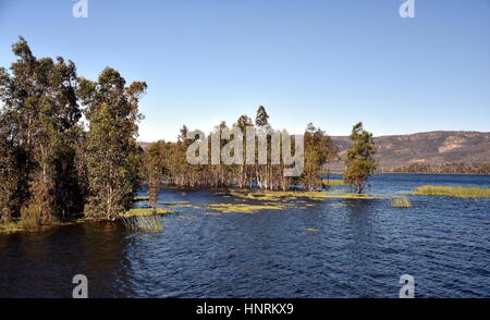 Dans le réservoir du lac Wartook Parc National des Grampians Victoria en Australie. Banque D'Images