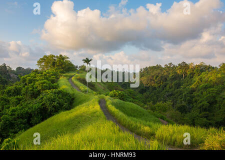 Ciel de coucher du soleil sur la célèbre promenade dans la crête de Campuhan Ubud, Bali, Indonésie Banque D'Images