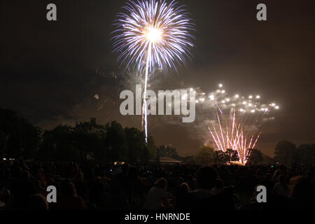 D'artifice du 4 juillet dans le parc de nuit Banque D'Images