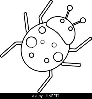 Fly coccinelle animal antenne fine ligne vector illustration eps 10 Illustration de Vecteur