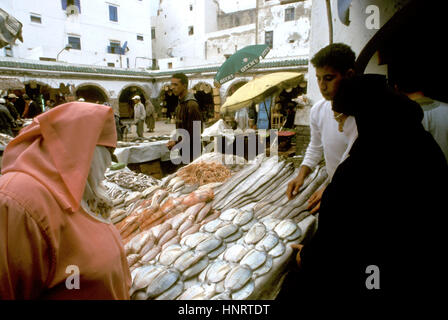 Marché de poisson dans le souk à l'intérieur de Medina, Essaouira, Côte Atlantique, Maroc, Afrique du Nord, Afrique Banque D'Images