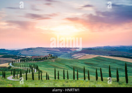 Asciano, cyprès et de collines. Crete Senesi, Toscane, Italie Banque D'Images