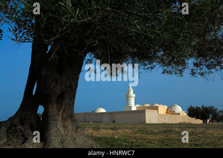 Tunisie.Djerba. Mosquée, près de Hara Krira Banque D'Images