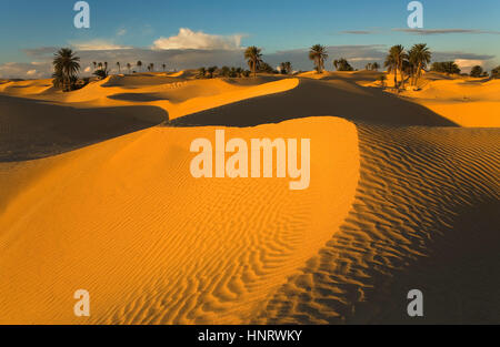 Tunisie.Zaafrane Douz (désert). Banque D'Images