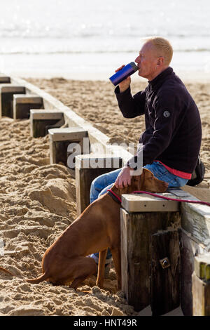 Bournemouth, Dorset, UK. 16 Février, 2017. Météo France : belle journée ensoleillée à la plage de Bournemouth, en tant que visiteurs, chef de la station pour profiter du soleil pour les petites vacances. Mans best friend - homme assis sur un épi de déguster une boisson avec le Rhodesian Ridgeback chien par son côté à la plage de Bournemouth. Credit : Carolyn Jenkins/Alamy Live News Banque D'Images