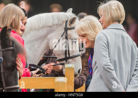 Londres, Royaume-Uni. 16 février 2017. La duchesse de Cornouailles, Président, Ebony Horse Club, visites, l'organisme de Brixton riding centre. Le centre célèbre son 21e anniversaire et sa 6e année sur ce site. Londres, 16 févr. 2017 . Crédit : Guy Bell/Alamy Live News Banque D'Images