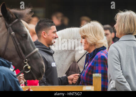 Londres, Royaume-Uni. 16 février 2017. La duchesse de Cornouailles, Président, Ebony Horse Club, visites, l'organisme de Brixton riding centre. Le centre célèbre son 21e anniversaire et sa 6e année sur ce site. Londres, 16 févr. 2017 . Crédit : Guy Bell/Alamy Live News Banque D'Images