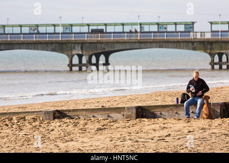 Bournemouth, Dorset, UK. 16 Février, 2017. Météo France : belle journée ensoleillée à la plage de Bournemouth, en tant que visiteurs, chef de la station pour profiter du soleil pour les petites vacances. Un régal pour le chien ! Mans best friend - homme assis sur un épi d'obtenir un traitement pour son Rhodesian Ridgeback chien par son côté à la plage de Bournemouth. Credit : Carolyn Jenkins/Alamy Live News Banque D'Images