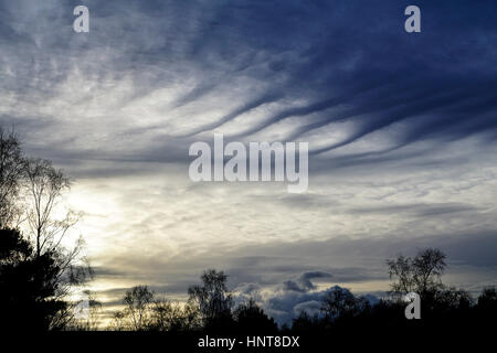 Commune de Blackheath, Wonersh, Guildford. 16 février 2017. Climat doux et sec a prévalu dans le pays d'accueil tout au long de la journée. Altocumulus a produit un étrange skyscape sur Blackheath dans commune Wonersh, près de Guildford, dans le Surrey. Banque D'Images