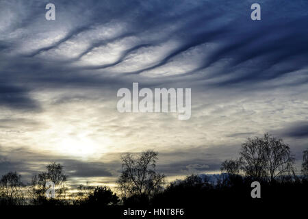 Commune de Blackheath, Wonersh, Guildford. 16 février 2017. Climat doux et sec a prévalu dans le pays d'accueil tout au long de la journée. Altocumulus a produit un étrange skyscape sur Blackheath dans commune Wonersh, près de Guildford, dans le Surrey. Banque D'Images