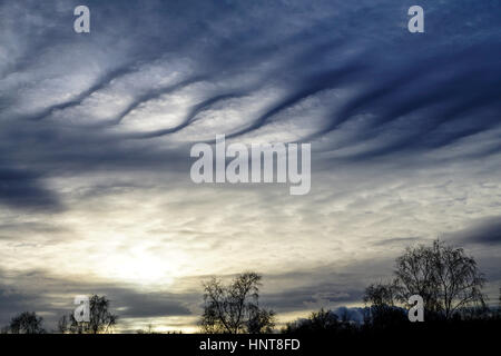 Commune de Blackheath, Wonersh, Guildford. 16 février 2017. Climat doux et sec a prévalu dans le pays d'accueil tout au long de la journée. Altocumulus a produit un étrange skyscape sur Blackheath dans commune Wonersh, près de Guildford, dans le Surrey. Banque D'Images