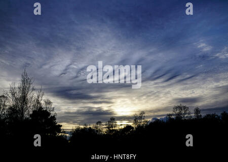 Commune de Blackheath, Wonersh, Guildford. 16 février 2017. Climat doux et sec a prévalu dans le pays d'accueil tout au long de la journée. Altocumulus a produit un étrange skyscape sur Blackheath dans commune Wonersh, près de Guildford, dans le Surrey. Banque D'Images