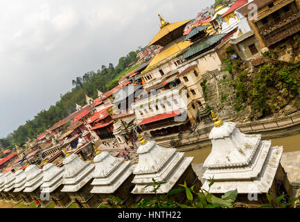 Vue de temple de Pashupatinath, Népal, Katmandou Banque D'Images