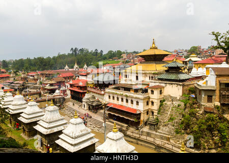 Vue de temple de Pashupatinath, Népal, Katmandou Banque D'Images