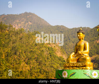 Statue en or de Budhda avec fond de forêt vert et bleu ciel. Banque D'Images